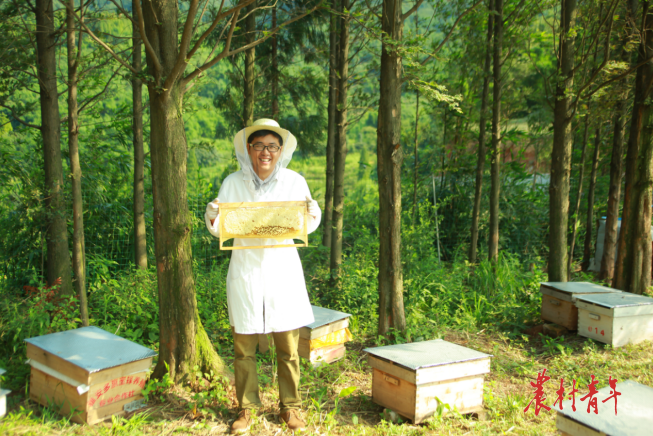 “养蜂达人”的创业之路